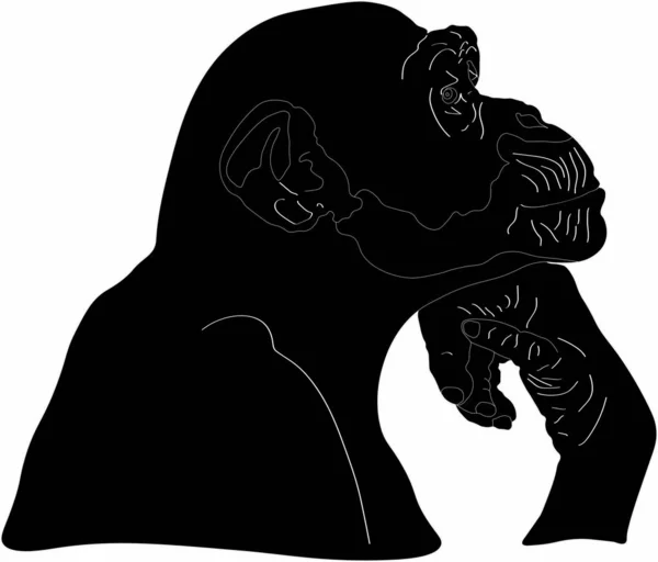 bir dalgın maymun vektör grafikleri