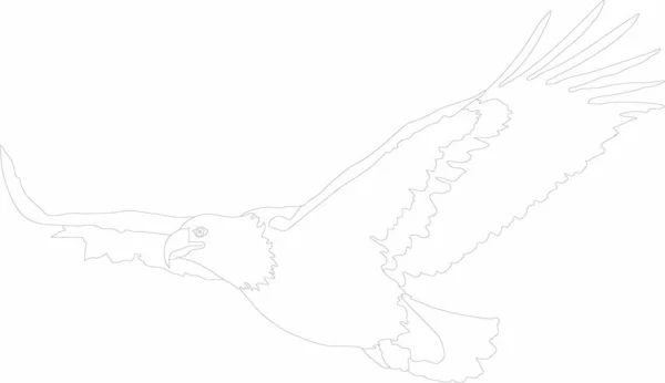 vektör grafik yırtıcı kuş uçan-kartal