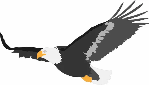vektör grafik yırtıcı kuş uçan-kartal