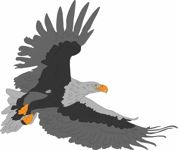 Vector Graphics Vliegende Roofvogel Eagle — Stockvector