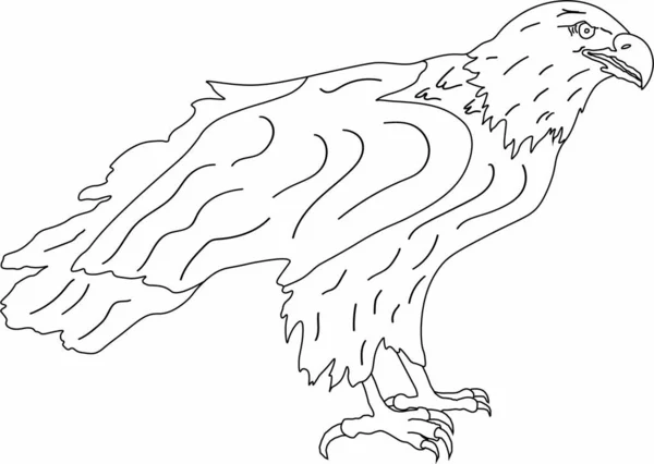 Vektör grafik yırtıcı büyük kuş-kartal