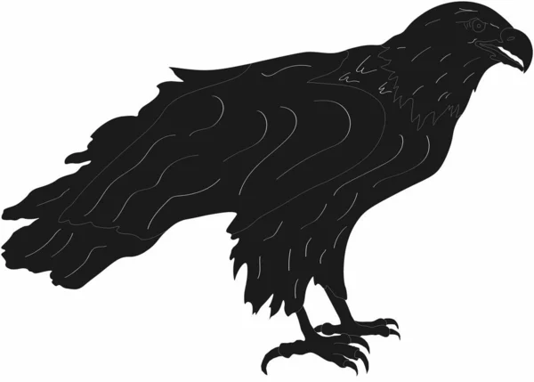 Vektör grafik yırtıcı büyük kuş-kartal