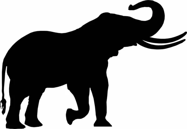 Grafica Vettoriale Elefante Ruggente — Vettoriale Stock