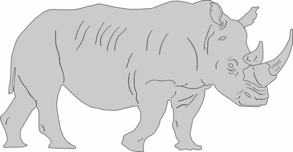 Graphiques Vectoriels Grand Rhinocéros Herbivores — Image vectorielle