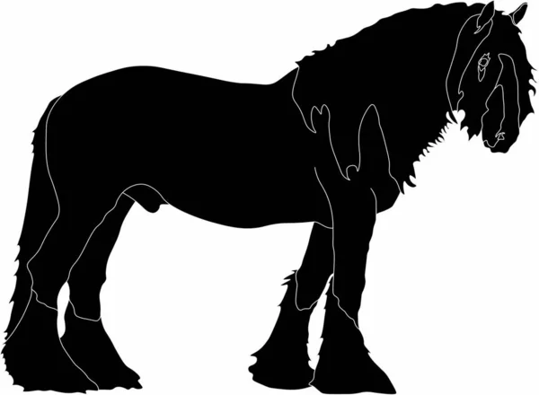 güzel, güçlü bir at vektör grafikleri