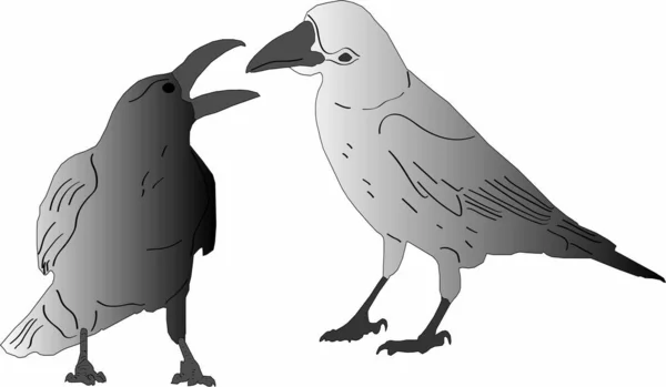 vahşi bir karga vektör grafikleri