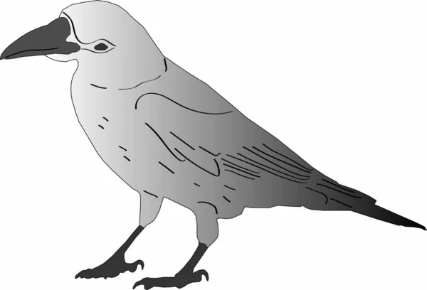 vahşi bir karga vektör grafikleri