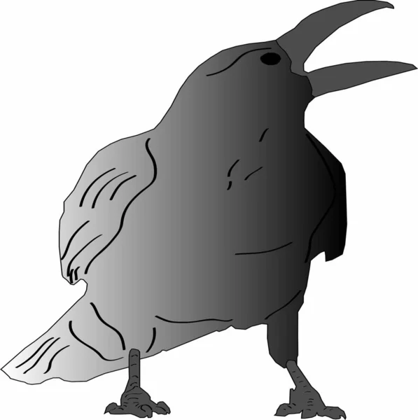 Vector Graphics Wild Crow — Stock Vector