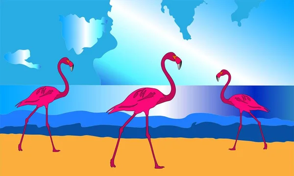 deniz kıyısında güzel flamingoların vektör grafikleri