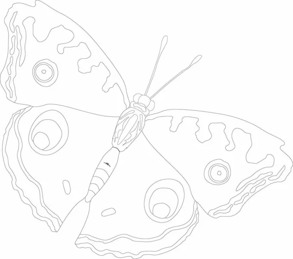 güzel bir kelebek vektör grafikleri