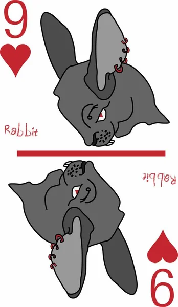 Vektör grafikleri. iskambil kağıtları, toplama. Oyunlar