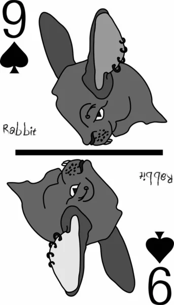 Vektör grafikleri. iskambil kağıtları, toplama. Oyunlar