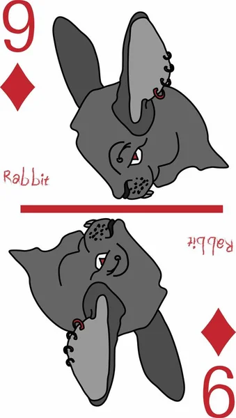 Vektör grafikleri. iskambil kağıtları, toplama. Oyunlar