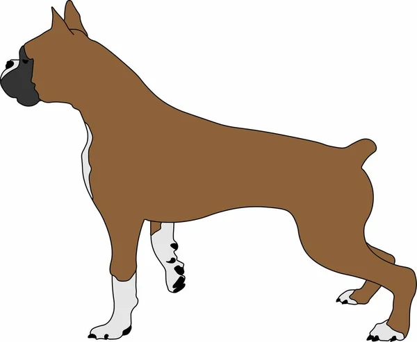 bir mücadele duruşu ayakta safkan bir köpek vektör grafikleri