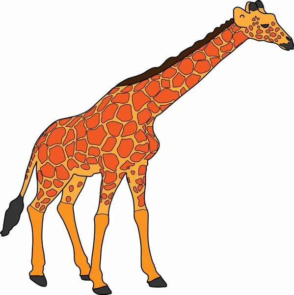 Grafica Vettoriale Una Giraffa Natura Selvaggia — Vettoriale Stock