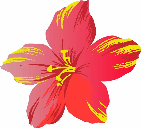 Çiçek açan güzel bir çiçeğin vektör grafikleri