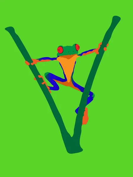 Güzel bir kurbağa pençeleriyle dallara tutunur.