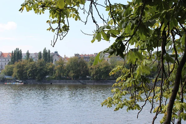Vltava Prag görünümü 
