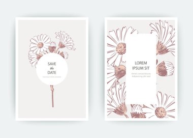 Kart çiçekler Calendula, kasımpatı, papatya, papatya, Aster. Düğün süsleme minimalist pastel renkler. Çiçek trendy poster, davet. Vektör dekoratif tebrik kartı davetiye tasarım arka plan