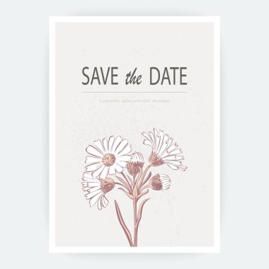 Kart çiçekler Calendula, kasımpatı, papatya, papatya, Aster. Düğün süsleme minimalist pastel renkler. Çiçek trendy poster, davet. Vektör dekoratif tebrik kartı davetiye tasarım arka plan
