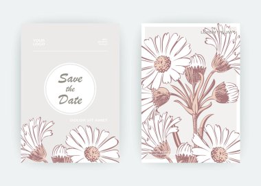 Kart çiçekler Calendula, kasımpatı, papatya, papatya, Aster. Düğün süsleme minimalist pastel renkler. Çiçek trendy poster, davet. Vektör dekoratif tebrik kartı davetiye tasarım arka plan