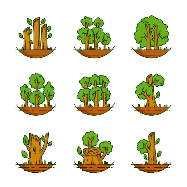 Drzewo Roślina Las Natura Botaniczna Ilustracja Drzewa Kolekcja — Wektor stockowy