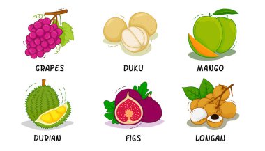 Meyve, Meyve Toplama, Üzüm, Duku, Mango, Durian, İncir, Longan