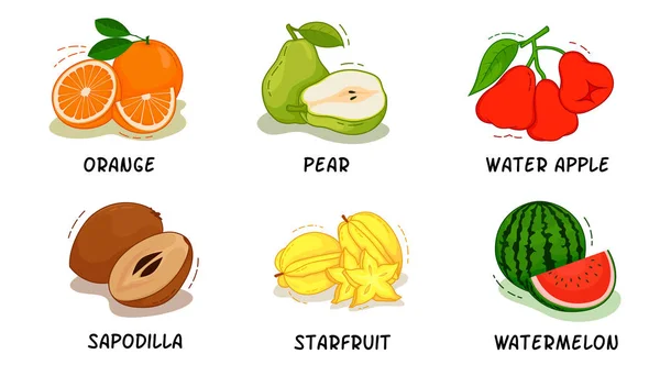 Buah, Buah Koleksi, Orange, Pear, Water Apple, Sapodilla, Starfruit, Watermelon - Stok Vektor