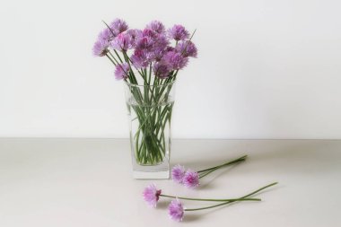 Çiçekler pembe çiçekler güzel