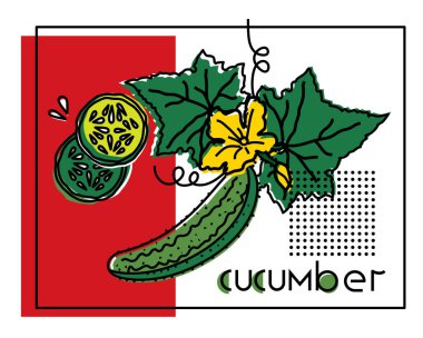 Orijinal yazıt salatalık ile bir sebze Vektör görüntü. Menü tasarımı, sosyal ağlar, broşürler, web siteleri, afişler, kartpostallar, ambalaj, sunum için.