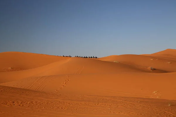 Караван Пустыне Erg Chebbi — стоковое фото
