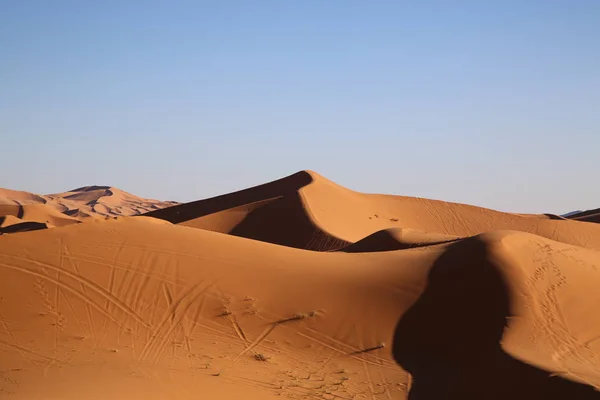 Dünen Der Wüste Erg Chebbi — Stockfoto