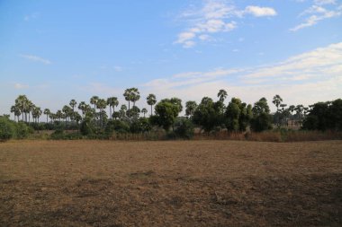 Kır hayatı, Myanmar 'ın güzel görüntüsü.