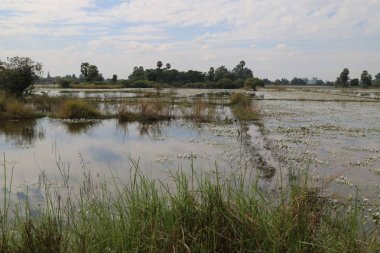 Kır hayatı, Myanmar 'ın güzel görüntüsü.