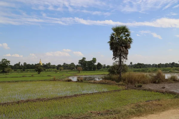 Kır Hayatı Myanmar Güzel Görüntüsü — Stok fotoğraf