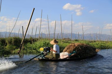 Myanmar 'daki Inle Gölü' nde yüzen bahçe