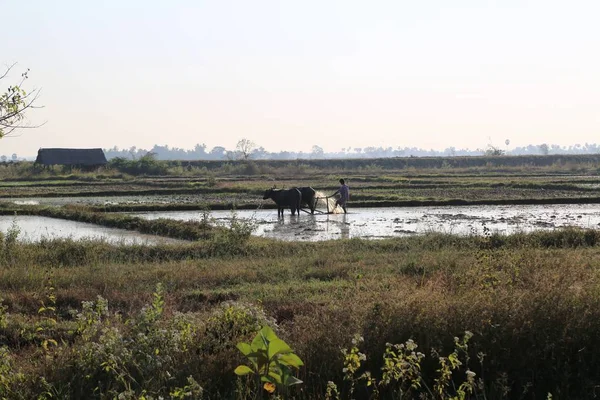 Typische Landschaft Der Burmesischen Landschaft — Stockfoto