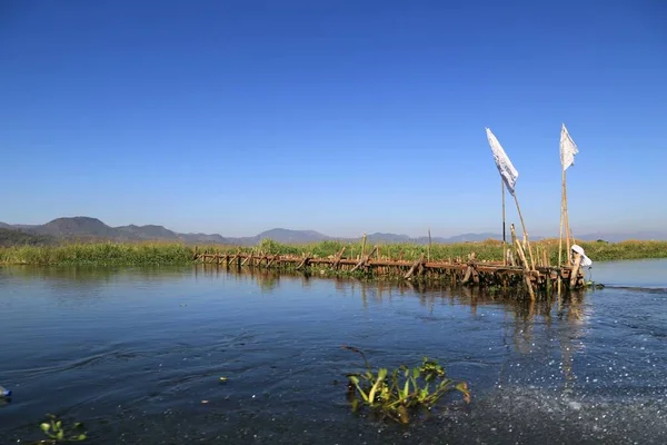 Schwimmender Garten Auf Dem Inle Lake Myanmar — Stockfoto