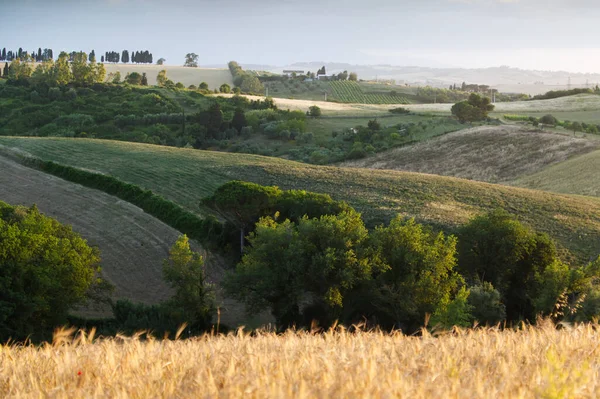 Utsikt över den toskanska landsbygden — Stockfoto