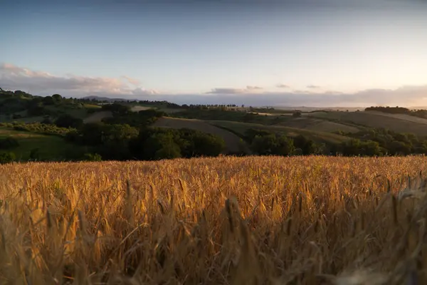 View of the Tuscan countryside — Stock Photo, Image