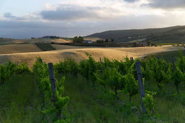 Vista sulla campagna toscana — Foto Stock