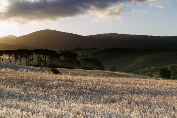 Blick auf die toskanische Landschaft — Stockfoto