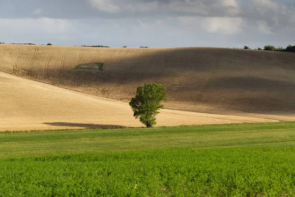 Blick auf die toskanische Landschaft — Stockfoto