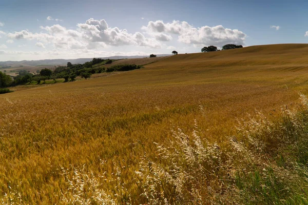 View of the Tuscan countryside — Stock Photo, Image