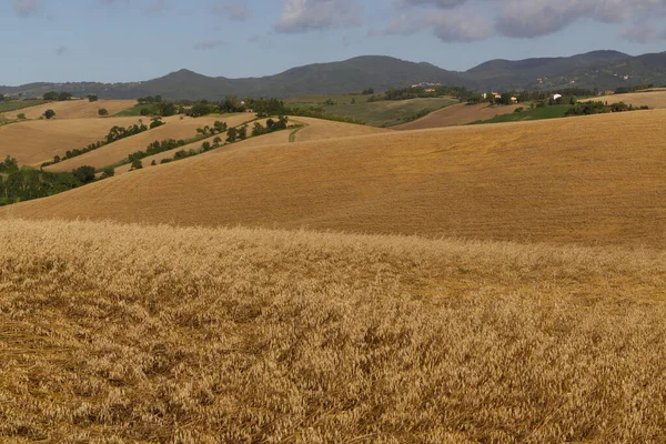 Blick auf die toskanische Landschaft — Stockfoto