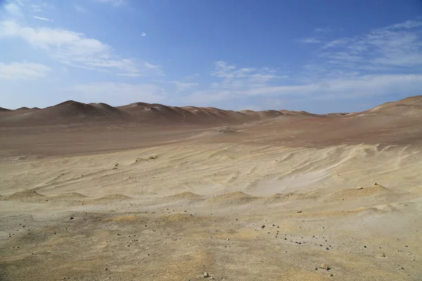 La espléndida reserva natural de Paracas, Perú —  Fotos de Stock