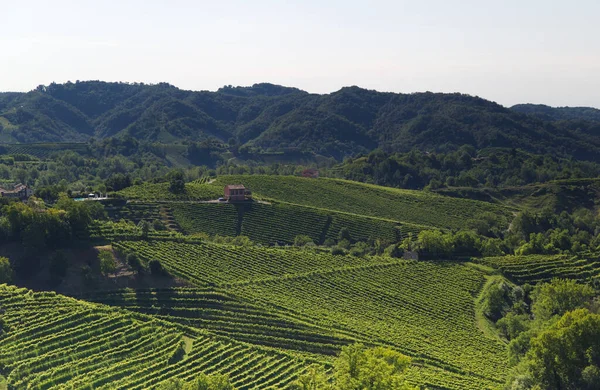 Utsikt över bergen i Prosecco vingårdar i Conegliano landsbygden — Stockfoto