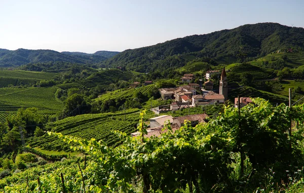 Staden Rolle på kullarna av Prosecco vin — Stockfoto