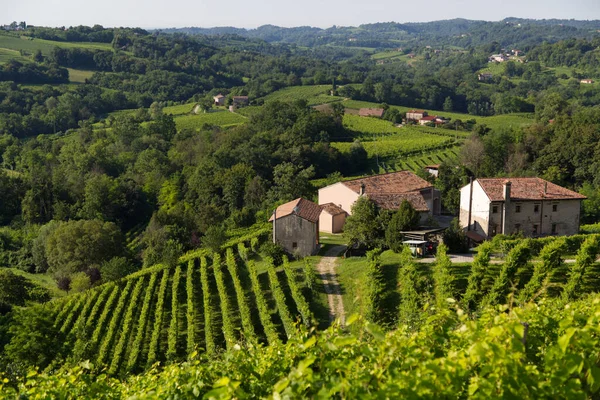 Blick auf die Hügel der Prosecco-Weinberge in der Landschaft von Conegliano — Stockfoto
