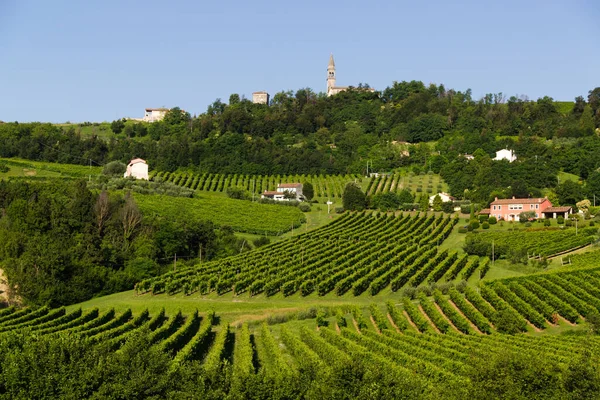 Utsikt över bergen i Prosecco vingårdar i Conegliano landsbygden — Stockfoto